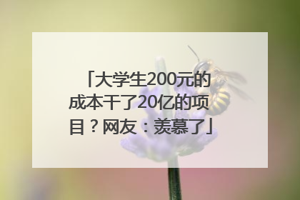 大学生200元的成本干了20亿的项目？网友：羡慕了
