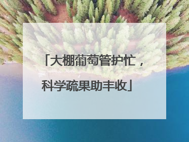 大棚葡萄管护忙，科学疏果助丰收