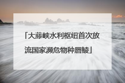 大藤峡水利枢纽首次放流国家濒危物种唇鲮