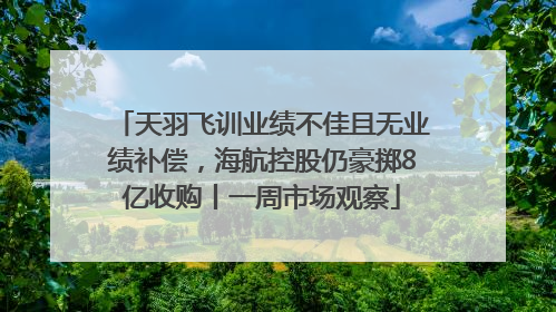 天羽飞训业绩不佳且无业绩补偿，海航控股仍豪掷8亿收购丨一周市场观察
