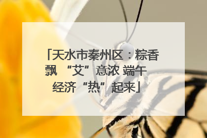 天水市秦州区：粽香飘 “艾”意浓 端午经济“热”起来