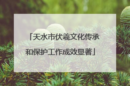 天水市伏羲文化传承和保护工作成效显著