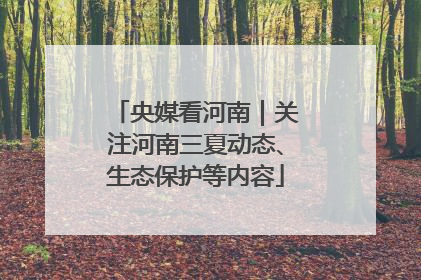 央媒看河南｜关注河南三夏动态、生态保护等内容