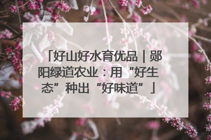 好山好水育优品｜郧阳绿道农业：用“好生态”种出“好味道”