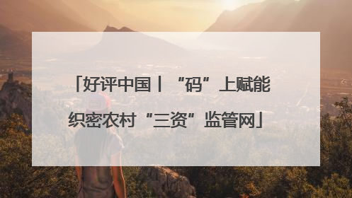 好评中国丨“码”上赋能 织密农村“三资”监管网