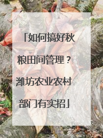 如何搞好秋粮田间管理？潍坊农业农村部门有实招