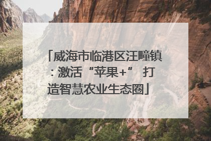 威海市临港区汪疃镇：激活“苹果+” 打造智慧农业生态圈