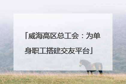 威海高区总工会：为单身职工搭建交友平台