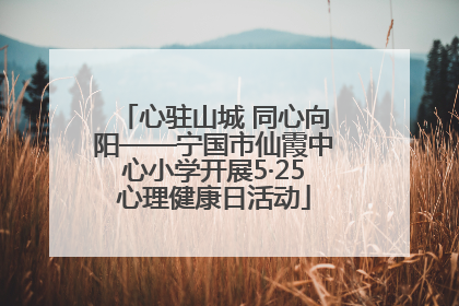 心驻山城 同心向阳——宁国市仙霞中心小学开展5·25心理健康日活动