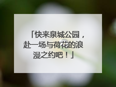 快来泉城公园，赴一场与荷花的浪漫之约吧！