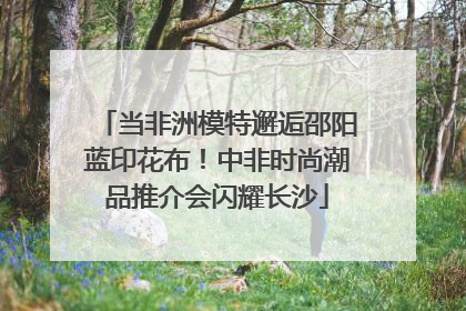 当非洲模特邂逅邵阳蓝印花布！中非时尚潮品推介会闪耀长沙