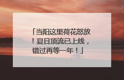 当阳这里荷花怒放！夏日顶流已上线，错过再等一年！