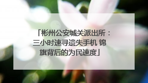 彬州公安城关派出所：三小时速寻遗失手机 锦旗背后的为民速度