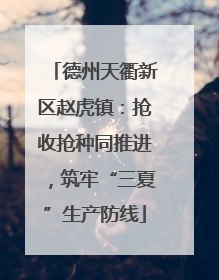 德州天衢新区赵虎镇：抢收抢种同推进，筑牢“三夏”生产防线