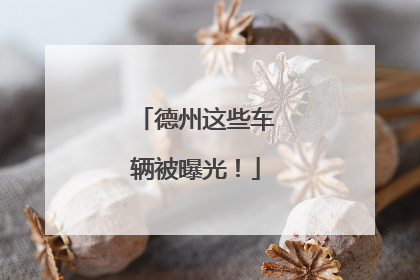 德州这些车辆被曝光！