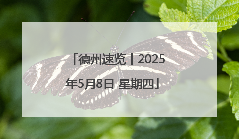 德州速览丨2025年5月8日 星期四