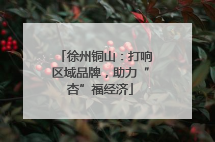 徐州铜山：打响区域品牌，助力“杏”福经济