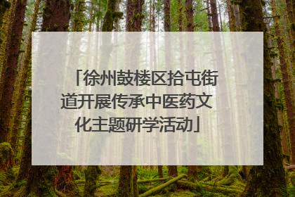 徐州鼓楼区拾屯街道开展传承中医药文化主题研学活动