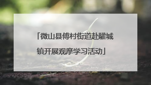 微山县傅村街道赴驩城镇开展观摩学习活动