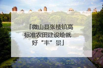 微山县张楼镇高标准农田建设绘就好“丰”景