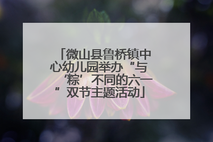 微山县鲁桥镇中心幼儿园举办“与‘粽’不同的六一”双节主题活动
