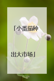 小番茄种出大市场