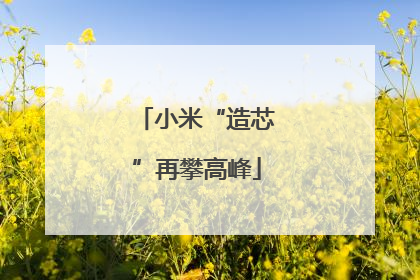 小米“造芯”再攀高峰