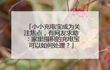 小小充电宝成为关注焦点，有网友求助：家里囤积的充电宝可以如何处理？