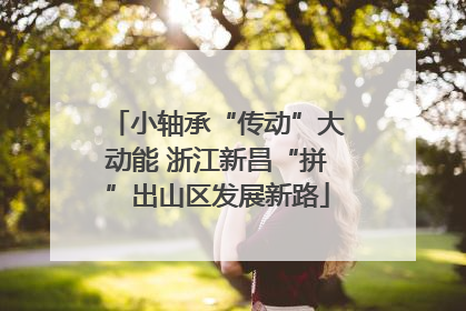 小轴承“传动”大动能 浙江新昌“拼”出山区发展新路
