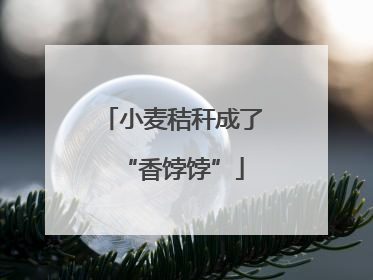 小麦秸秆成了“香饽饽”