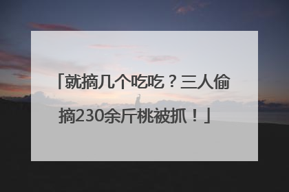 就摘几个吃吃？三人偷摘230余斤桃被抓！