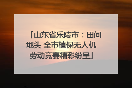 山东省乐陵市：田间地头 全市植保无人机劳动竞赛精彩纷呈