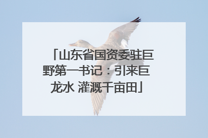 山东省国资委驻巨野第一书记：引来巨龙水 灌溉千亩田