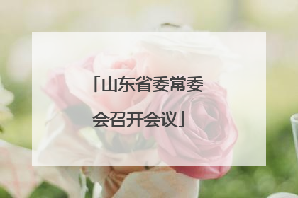山东省委常委会召开会议