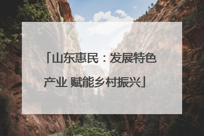 山东惠民：发展特色产业 赋能乡村振兴
