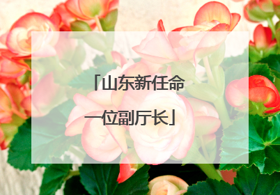 山东新任命一位副厅长