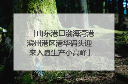 山东港口渤海湾港滨州港区港华码头迎来入夏生产小高峰