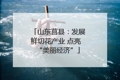 山东莒县：发展鲜切花产业 点亮“美丽经济”