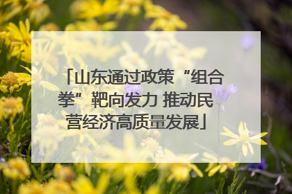 山东通过政策“组合拳”靶向发力 推动民营经济高质量发展