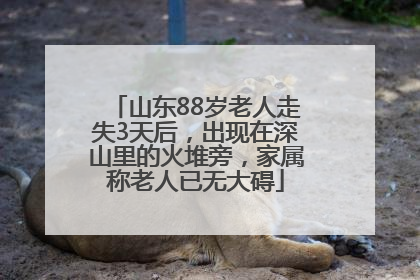 山东88岁老人走失3天后，出现在深山里的火堆旁，家属称老人已无大碍