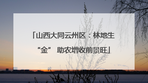 山西大同云州区：林地生“金” 助农增收前景旺