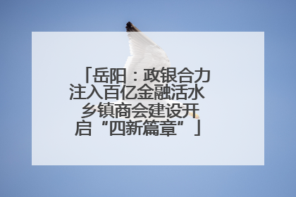 岳阳：政银合力注入百亿金融活水 乡镇商会建设开启“四新篇章”