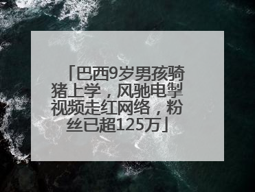 巴西9岁男孩骑猪上学，风驰电掣视频走红网络，粉丝已超125万
