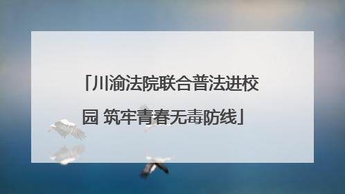 川渝法院联合普法进校园 筑牢青春无毒防线