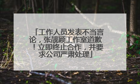 工作人员发表不当言论，张靓颖工作室道歉！立即终止合作，并要求公司严肃处理