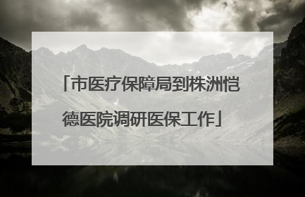 市医疗保障局到株洲恺德医院调研医保工作