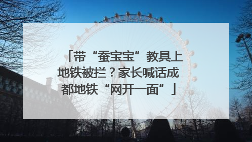 带“蚕宝宝”教具上地铁被拦？家长喊话成都地铁“网开一面”