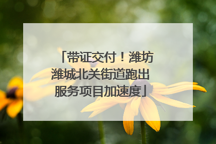 带证交付！潍坊潍城北关街道跑出服务项目加速度
