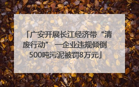 广安开展长江经济带“清废行动” 一企业违规倾倒500吨污泥被罚8万元