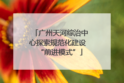 广州天河综治中心探索规范化建设“前进模式”
